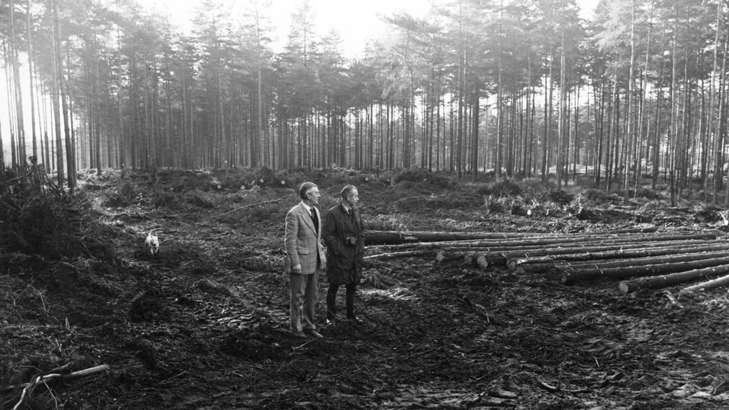 Image of 1975