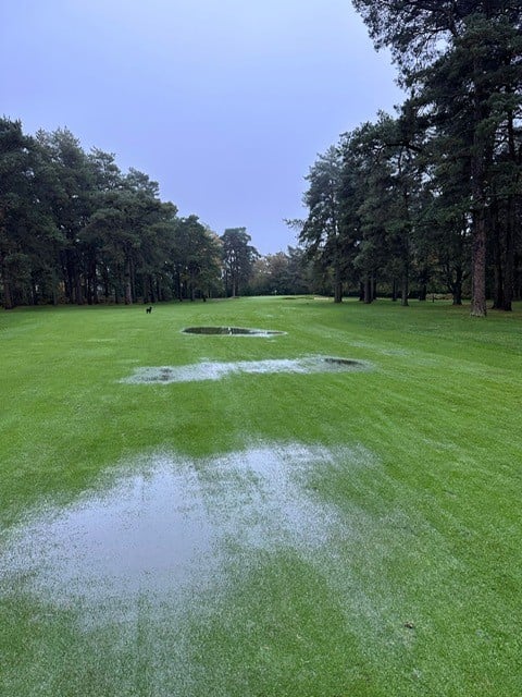 Image of 2nd november