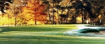 Image of target golf