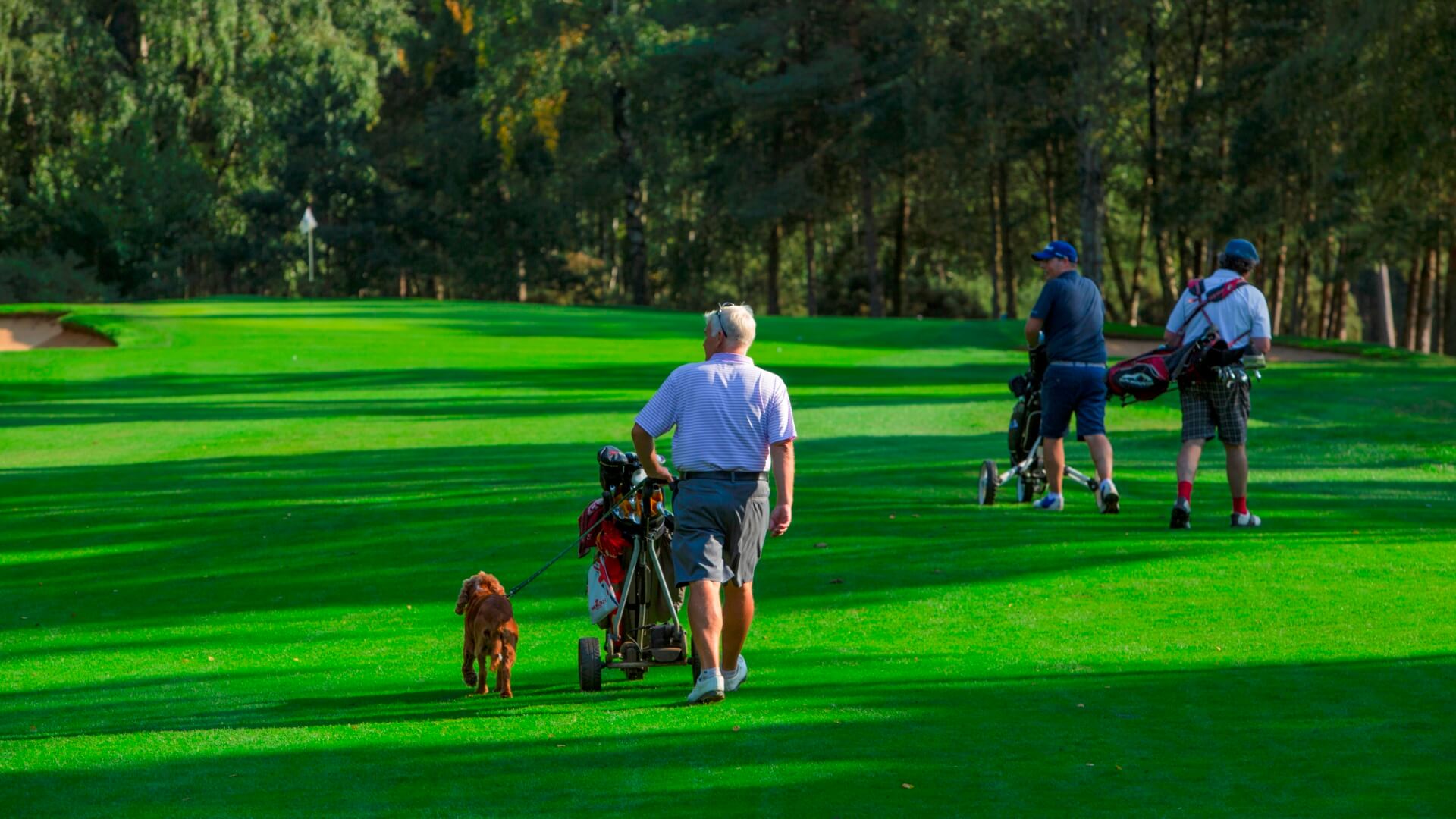Woburn Golf Club | Woburn Golf Club