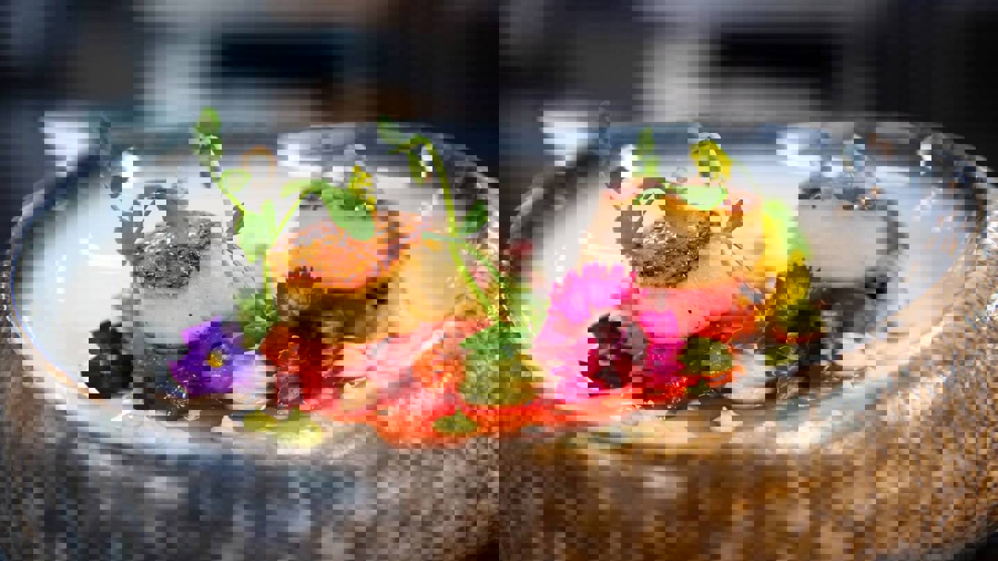 Image of scallops