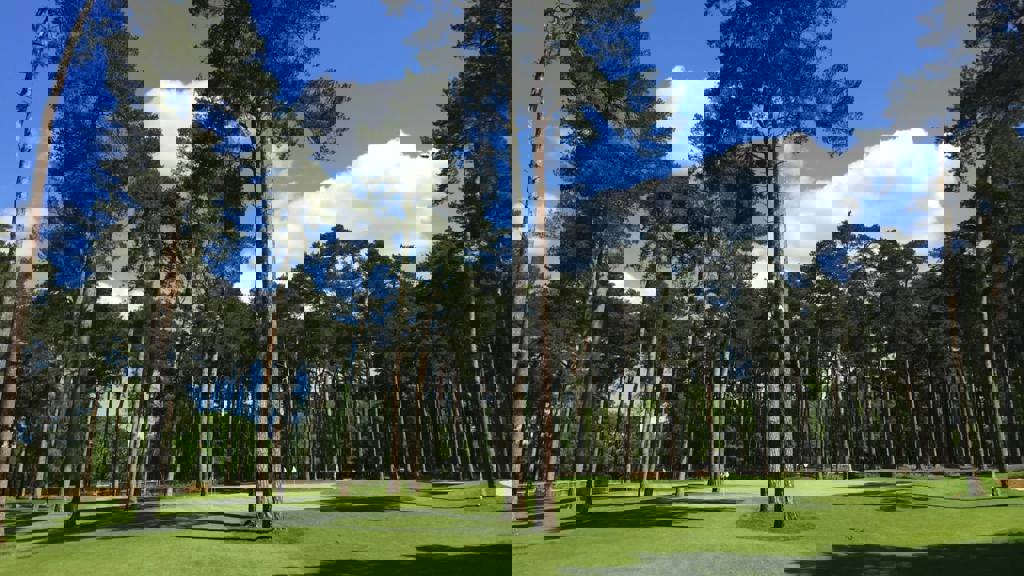 Image of image of shortgame area dg feb 2019 21