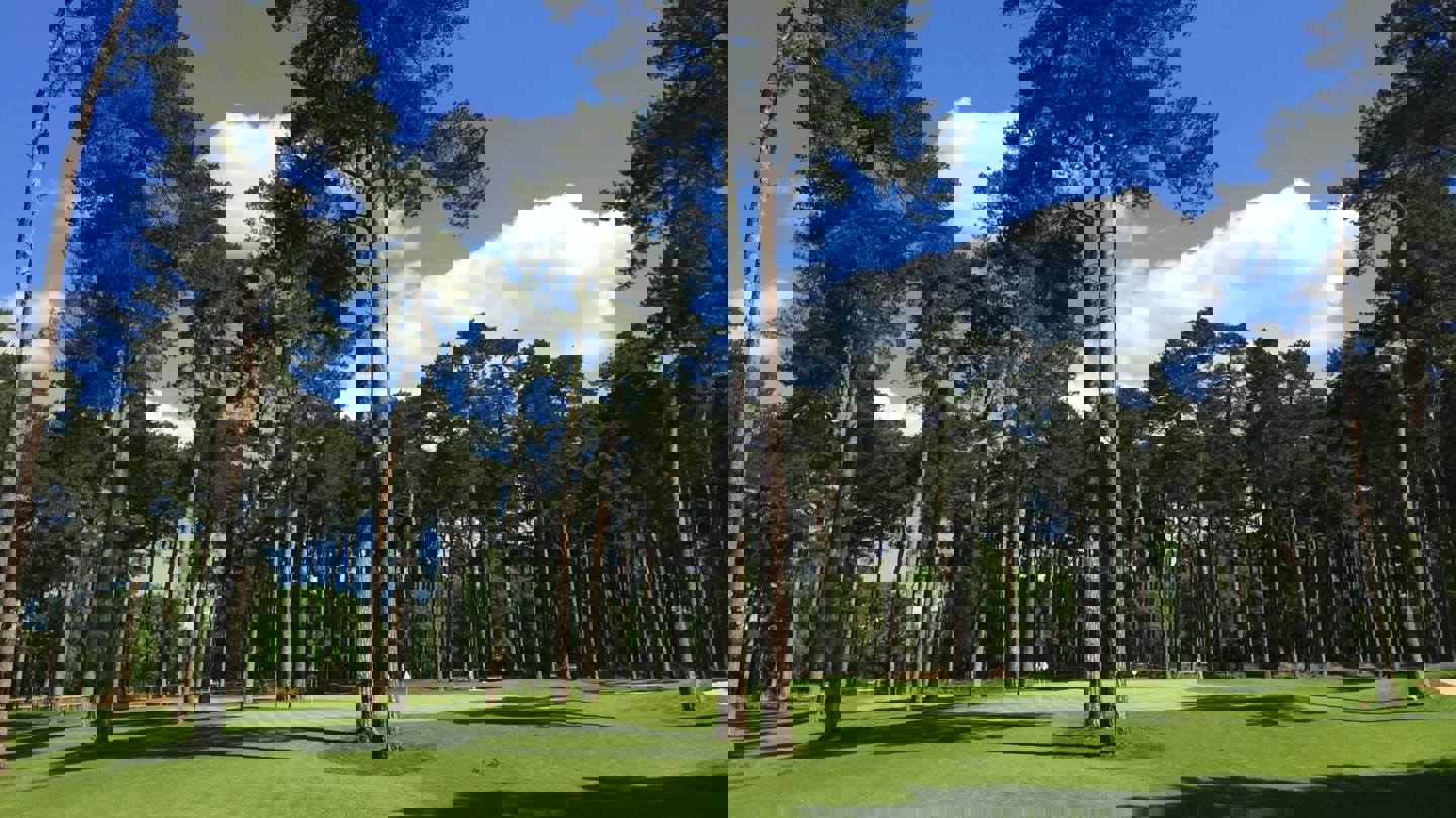 backgroundImageAltText
