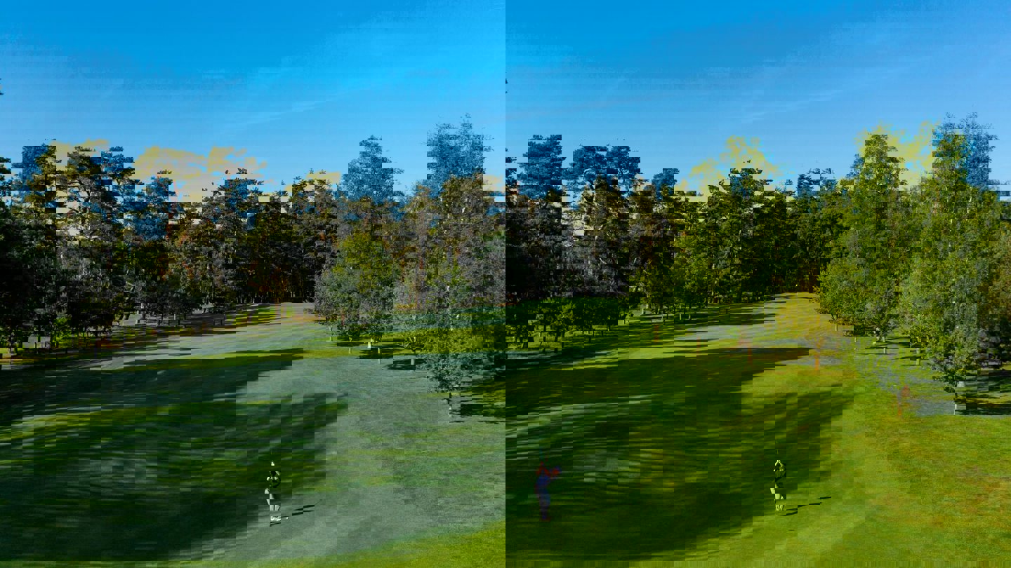 Image of dukes 10th