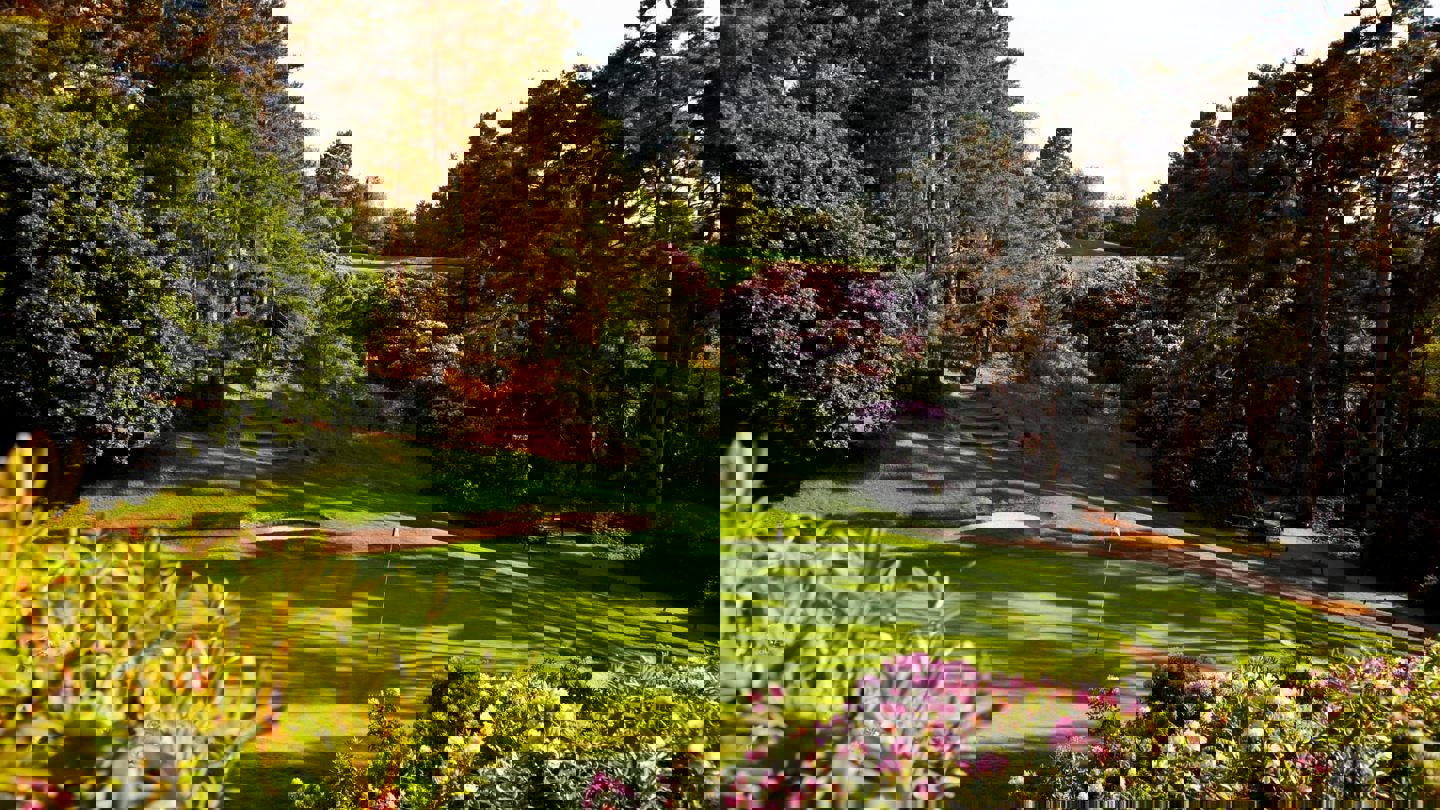 Image of dukes 3