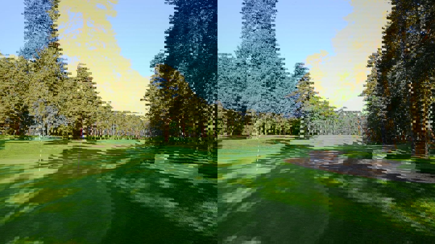 Image of dukes 5