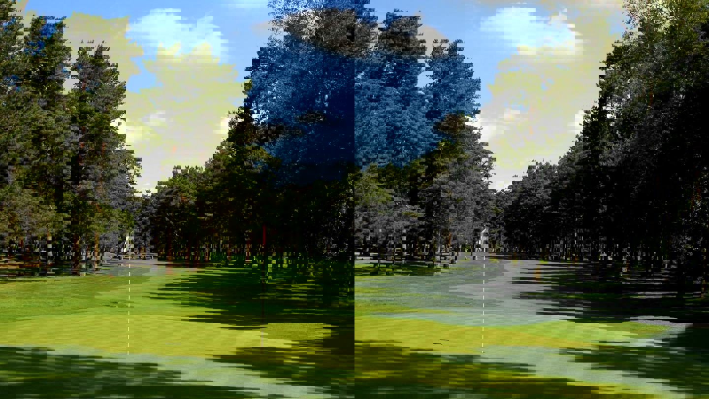 Image of dukes 18 01
