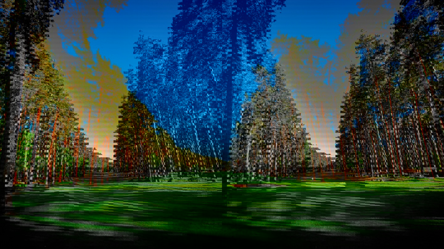 Image of duchess par 5 01