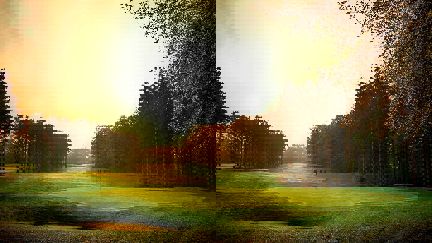 backgroundImageAltText