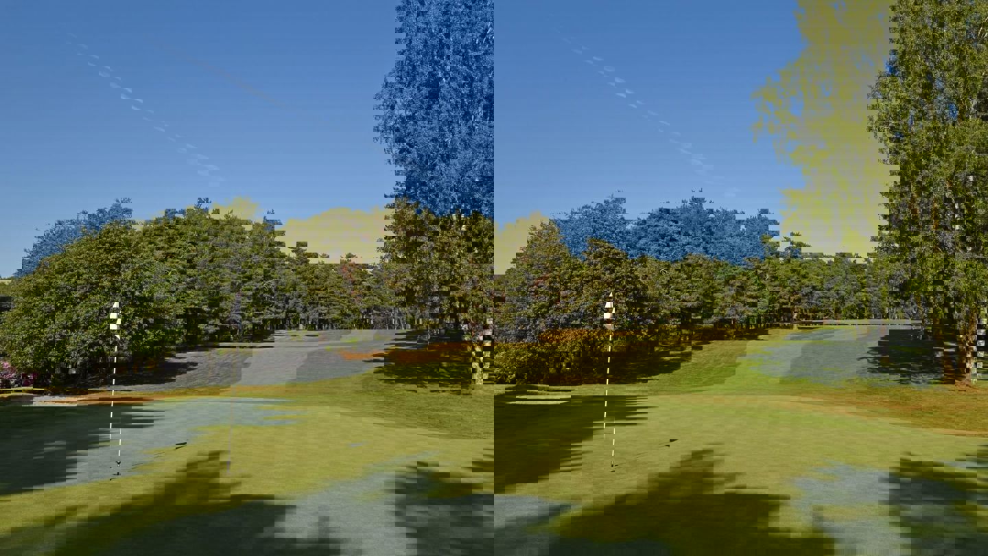 Image of dukes2 cd