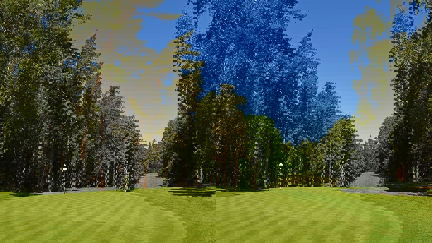 Image of dukes9 cd