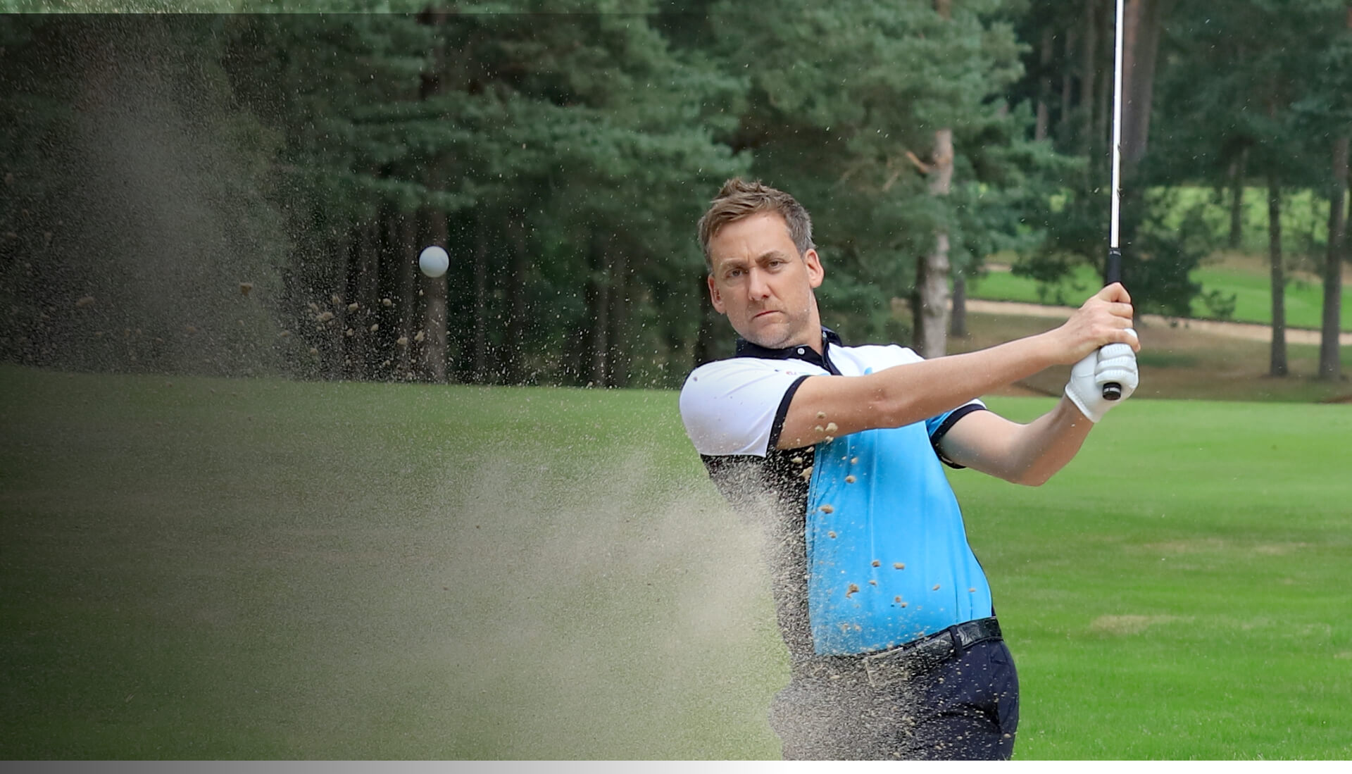 Image of header banner poulter compressed