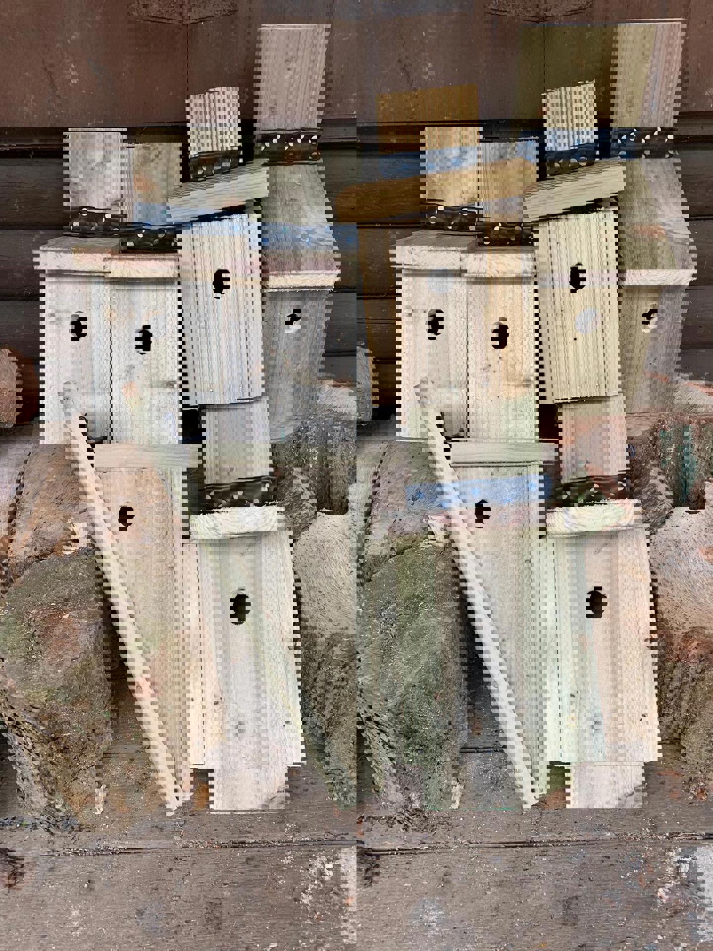 Image of bird box