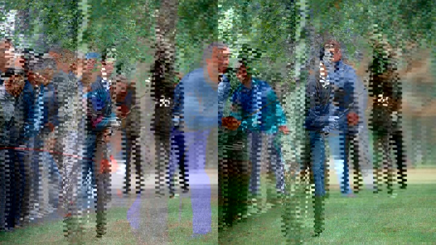 Image of seve 1991